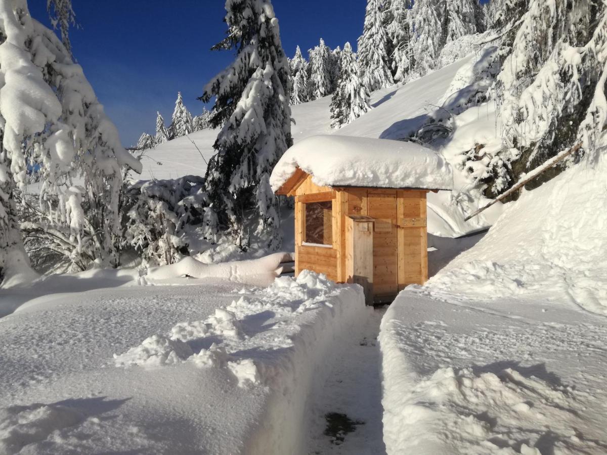Apartment Himmelreichhof San Candido Bagian luar foto